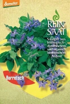 Borretsch | BIO Borretschsamen Von Reinsaat