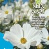 Cosmea Weiß | BIO Cosmeasamen Von Reinsaat 1 Cosmea Weiß | BIO Cosmeasamen Von Reinsaat -Compo Verkäufe 535931 BIO Cosmea weiss B21 rs 0