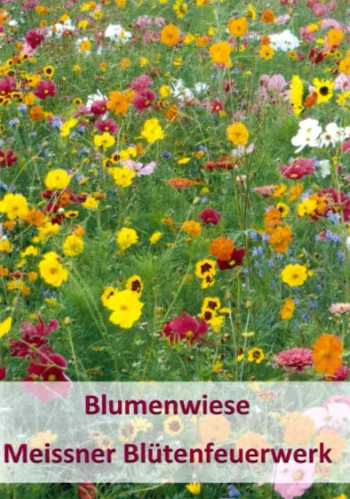 Meissner Blütenfeuerwerk (100 G) | Bienenwiese Von Küpper 3 Meissner Blütenfeuerwerk (100 G) | Bienenwiese Von Küpper