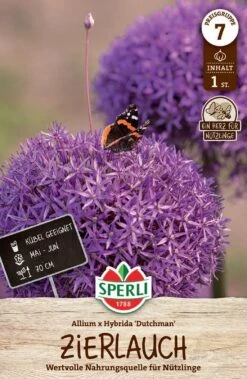 Zierlauch Dutchman (1 Stück) | Zierlauchzwiebeln Von Sperli