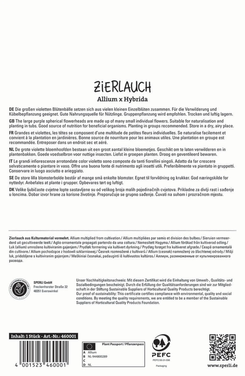 Zierlauch Dutchman (1 Stück) | Zierlauchzwiebeln Von Sperli 4 Zierlauch Dutchman (1 Stück) | Zierlauchzwiebeln Von Sperli – Bild 2