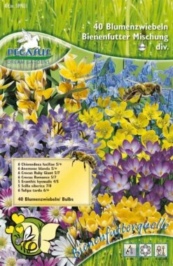 Bienenfutterquelle Mischung (40 Stück) | Blumenzwiebelmischung Von Pegasus