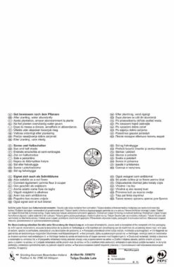 Compo Verkäufe -Compo Verkäufe 538226 Tulpe Carnaval de Nice und Blue Diamond 10 Stueck 599079 1