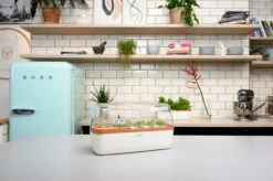 BoQube Gewächshaus & Pflanzkasten L Creme-kupfer | Zimmergewächshäuser Von Romberg 10 BoQube Gewächshaus & Pflanzkasten L Creme-kupfer | Zimmergewächshäuser Von Romberg -Compo Verkäufe 539701 BoQube Gewaechshaus Farbe creme kupferg 7