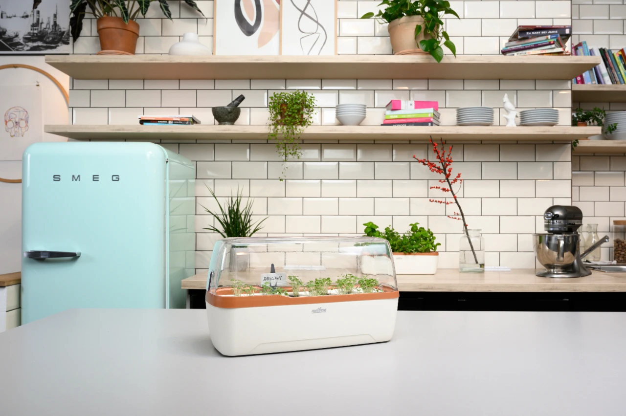 BoQube Gewächshaus & Pflanzkasten L Creme-kupfer | Zimmergewächshäuser Von Romberg 6 BoQube Gewächshaus & Pflanzkasten L Creme-kupfer | Zimmergewächshäuser Von Romberg – Bild 4