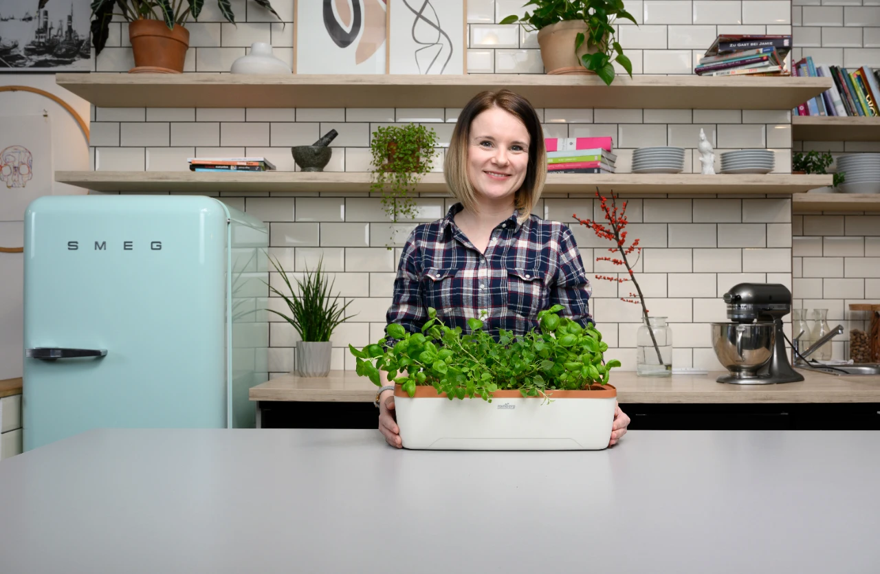 BoQube Gewächshaus & Pflanzkasten L Creme-kupfer | Zimmergewächshäuser Von Romberg 4 BoQube Gewächshaus & Pflanzkasten L Creme-kupfer | Zimmergewächshäuser Von Romberg – Bild 2