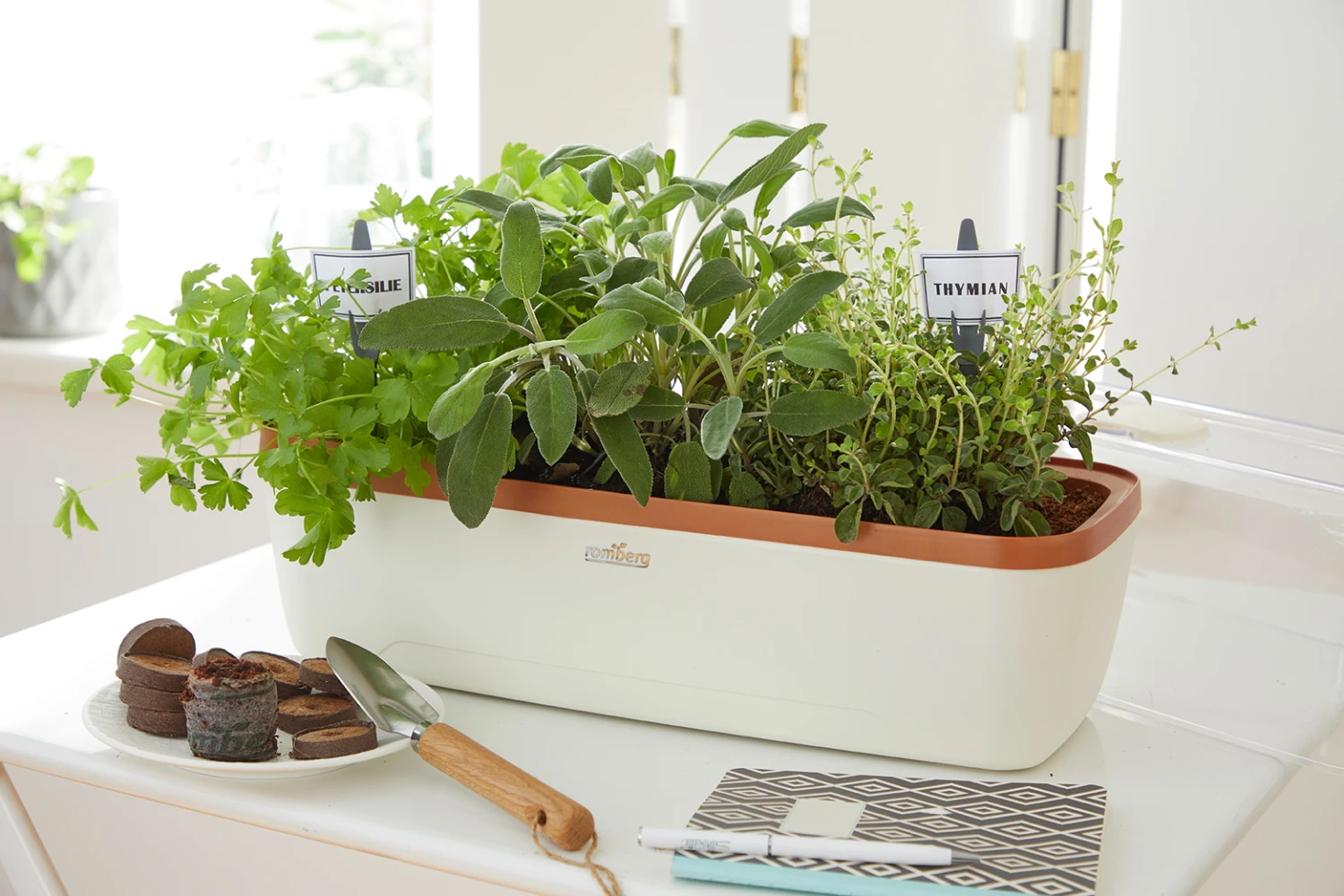 BoQube Gewächshaus & Pflanzkasten L Creme-kupfer | Zimmergewächshäuser Von Romberg 3 BoQube Gewächshaus & Pflanzkasten L Creme-kupfer | Zimmergewächshäuser Von Romberg