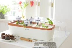 BoQube Gewächshaus & Pflanzkasten L Creme-kupfer | Zimmergewächshäuser Von Romberg 9 BoQube Gewächshaus & Pflanzkasten L Creme-kupfer | Zimmergewächshäuser Von Romberg -Compo Verkäufe 539701 BoQube Gewaechshaus und Pflanzkasten L creme kupfer 2