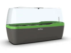 BoQube Gewächshaus & Pflanzkasten L Anthrazit-grün | Zimmergewächshäuser Von Romberg 14 BoQube Gewächshaus & Pflanzkasten L Anthrazit-grün | Zimmergewächshäuser Von Romberg -Compo Verkäufe 539702 BoQube Gewaechshaus Farbe anthrazit gru 4