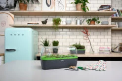 BoQube Gewächshaus & Pflanzkasten L Anthrazit-grün | Zimmergewächshäuser Von Romberg 21 BoQube Gewächshaus & Pflanzkasten L Anthrazit-grün | Zimmergewächshäuser Von Romberg -Compo Verkäufe 539702 BoQube Gewaechshaus Farbe anthrazit gru 7