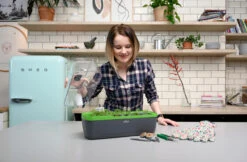 BoQube Gewächshaus & Pflanzkasten L Anthrazit-grün | Zimmergewächshäuser Von Romberg 16 BoQube Gewächshaus & Pflanzkasten L Anthrazit-grün | Zimmergewächshäuser Von Romberg -Compo Verkäufe 539702 BoQube Gewaechshaus Farbe anthrazit gru 8