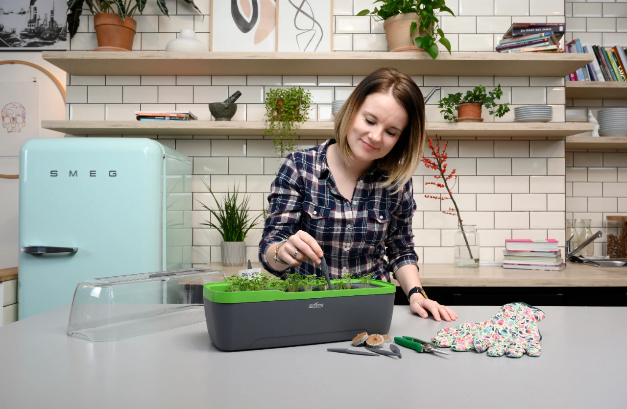 BoQube Gewächshaus & Pflanzkasten L Anthrazit-grün | Zimmergewächshäuser Von Romberg 8 BoQube Gewächshaus & Pflanzkasten L Anthrazit-grün | Zimmergewächshäuser Von Romberg – Bild 6