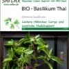 Basilikum Thai | BIO Basilikumsamen Von Saflax -Compo Verkäufe 540040 Bio Basilikum Thai 15302 sa 0