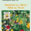 Insektenwiese (100 G) | Insektenwiese Von Samen Pfann 2 Insektenwiese (100 G) | Insektenwiese Von Samen Pfann -Compo Verkäufe 540488 Insektenwiese 100 g