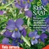 Hornveilchen | BIO Hornveilchensamen Von Reinsaat -Compo Verkäufe 540550 BIO Hornveilchen B75 rs 0