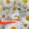 Margerite Frühling | BIO Margeritensamen Von Reinsaat -Compo Verkäufe 540556 BIO Margerite Fruehling B91 rs 0