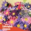 Sommeraster | BIO Asternsamen Von Reinsaat 1 Sommeraster | BIO Asternsamen Von Reinsaat -Compo Verkäufe 540557 BIO Sommeraster B94 rs 0