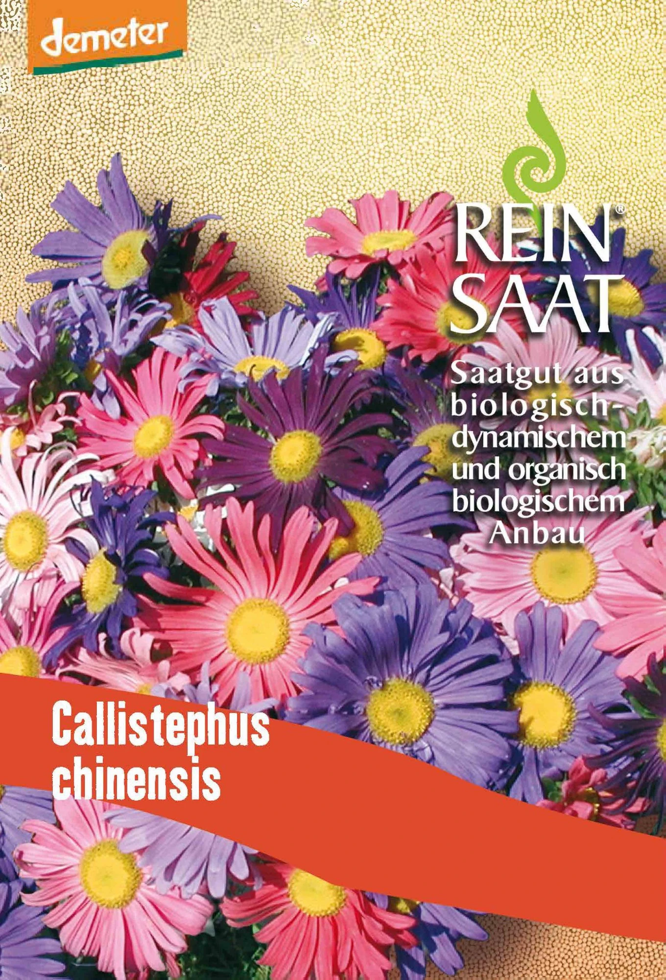 Sommeraster | BIO Asternsamen Von Reinsaat 3 Sommeraster | BIO Asternsamen Von Reinsaat