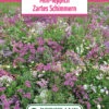 Blumenwiese Mini Teppich Zartes Schimmern (100 G) | Blumensamen Von Bertrand -Compo Verkäufe 540953 Blumenwiese Mini Teppich Zartes Schimmern 100 g
