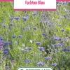 Blumenwiese Farbton Blau (100 G) | Blumensamen Von Bertrand -Compo Verkäufe 540980 Blumenwiese Farbton Blau 100 g