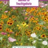 Blumenwiese Feuchtgebiet (Rückhaltebecken) (100 G) | Blumensamen Von Bertrand