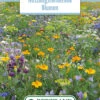 Blumenwiese Blumen Für Nützlinge (100 G) | Blumensamen Von Bertrand -Compo Verkäufe 541007 Blumenwiese Nuetzlingsnutzende Blumen 100 g