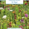 Blumenwiese Einjährige Blumen Für Vögel (100 G) | Blumensamen Von Bertrand -Compo Verkäufe 541008 Blumenwiese Einjaehrige Blumen fuer Voegel 100 g