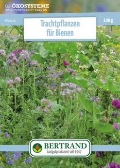 Blumenwiese Honigblumenwiese OFA Einjährig (100 G) | Blumensamen Von Bertrand