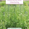 Blumenwiese Schmetterlingswiese (100 G) | Blumensamen Von Bertrand -Compo Verkäufe 541023 Blumenwiese Blumen aus der Natur Schmetterling 100 g