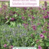 Blumenwiese Staudenmischung Für Schatten &amp; Lichtungen (100 G) | Blumensamen Von Bertrand -Compo Verkäufe 541025 Blumenwiese Blumen aus der Natur Schatten und Lichtungen 100 g