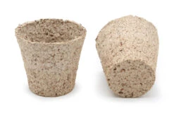 6 Cm Anzuchttopf Kokos Rund (2592 Stück) | Anzuchttöpfe Von Jiffy -Compo Verkäufe 542628 6 cm Anzuchttopf aus Kokos rund 2592 Stueck 30812200 jf 0