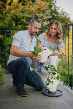 Sissi Strawberry Erdbeerturm Starter Weiß (4 Etagen) | Erdbeertürme Von Gusta Garden -Compo Verkäufe 543337 Sissy Strawberry starter weiss 4 Etagen 5