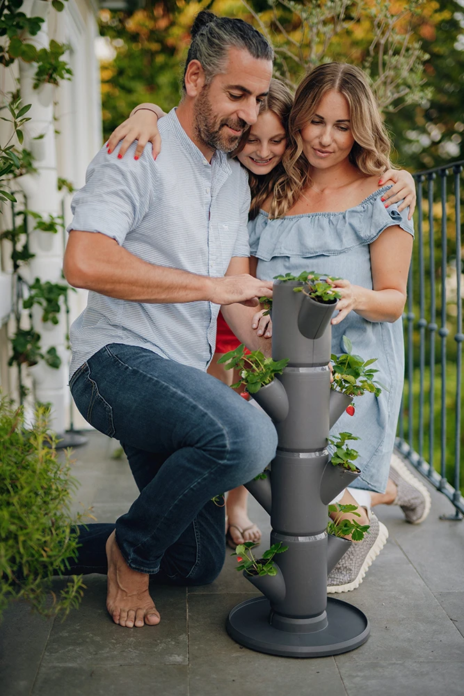 Sissi Strawberry Erdbeerturm Starter Anthrazit (4 Etagen) | Erdbeertürme Von Gusta Garden 7 Sissi Strawberry Erdbeerturm Starter Anthrazit (4 Etagen) | Erdbeertürme Von Gusta Garden – Bild 5