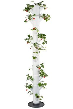 Sissi Strawberry Erdbeerturm Infinity Weiß (10 Etagen) | Erdbeertürme Von Gusta Garden 11 Sissi Strawberry Erdbeerturm Infinity Weiß (10 Etagen) | Erdbeertürme Von Gusta Garden -Compo Verkäufe 543343 Sissy Strawberry infinity weiss 10 Etagen