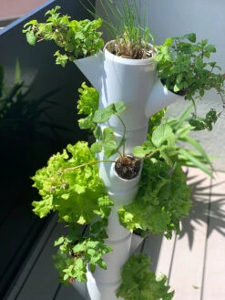 Sissi Strawberry Erdbeerturm Infinity Anthrazit (10 Etagen) | Erdbeertürme Von Gusta Garden -Compo Verkäufe 543344 Sissi Strawberry Erdbeerturm infinity anthrazit 10 Etagen 101529 gg 4