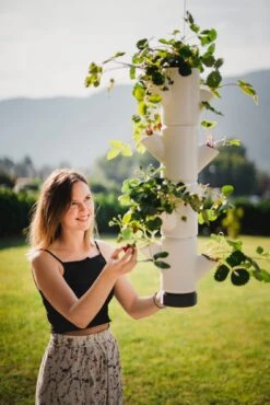 Sissi Strawberry Erdbeerturm Hanging Weiß (4 Etagen) | Erdbeertürme Von Gusta Garden