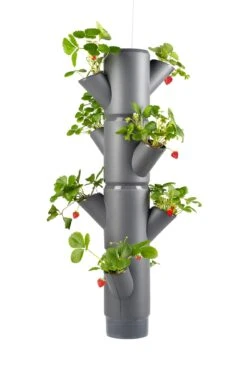 Sissi Strawberry Erdbeerturm Hanging Anthrazit (4 Etagen) | Erdbeertürme Von Gusta Garden -Compo Verkäufe 543598 Sissi Strawberry Hanging anthrazit 4 Etagen