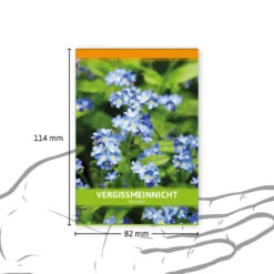 Vergissmeinnicht Für Werbezwecke (100 Tütchen) | Vergissmeinnichtsamen Von FLORTUS -Compo Verkäufe 543600 Vergissmeinnicht fuer Werbezwecke 100 Tuetchen W5186 100x 4