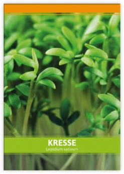 Einfache Kresse Für Werbezwecke (100 Tütchen) | Kressesamen Von FLORTUS -Compo Verkäufe 543602 Einfache Kresse fuer Werbezwecke 100 Tuetchen W5187 100x 2