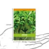 Einfache Kresse Für Werbezwecke (100 Tütchen) | Kressesamen Von FLORTUS 2 Einfache Kresse Für Werbezwecke (100 Tütchen) | Kressesamen Von FLORTUS -Compo Verkäufe 543602 Einfache Kresse fuer Werbezwecke 100 Tuetchen W5187 100x 4