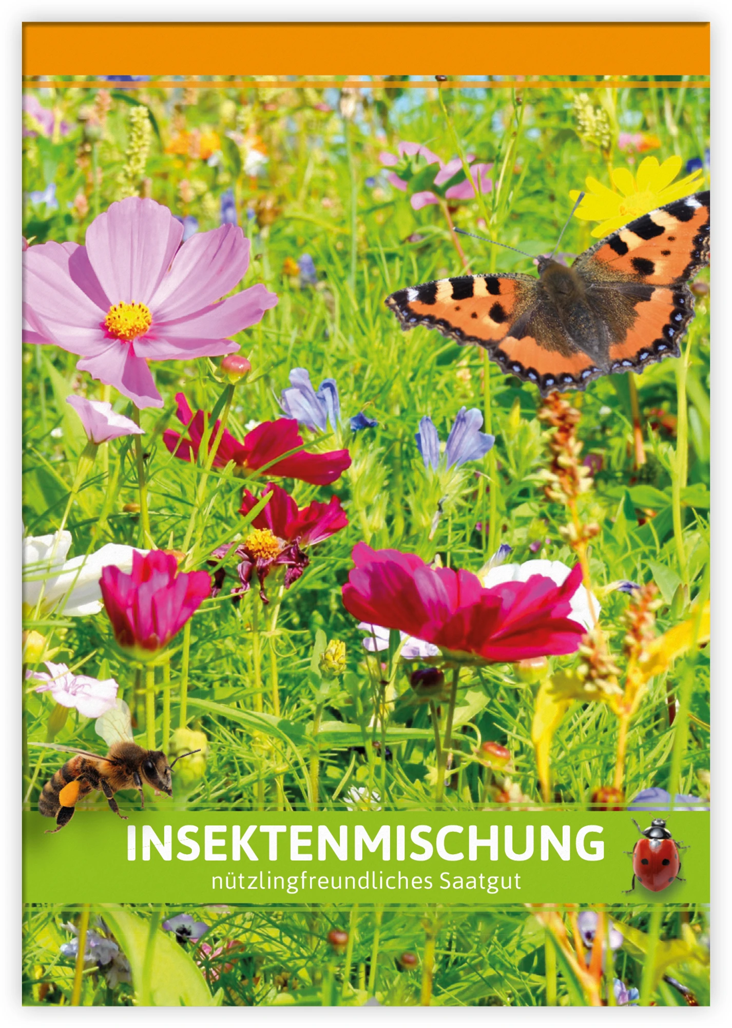Insektenmischung Für Werbezwecke (100 Tütchen) | Blumensamen Von FLORTUS 4 Insektenmischung Für Werbezwecke (100 Tütchen) | Blumensamen Von FLORTUS – Bild 2