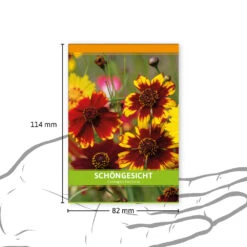 Schöngesicht Für Werbezwecke (100 Tütchen) | Schöngesichtsamen Von FLORTUS