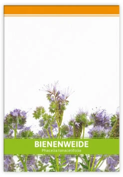 Bienenweide Für Werbezwecke (100 Tütchen) | Phaceliasamen Von FLORTUS