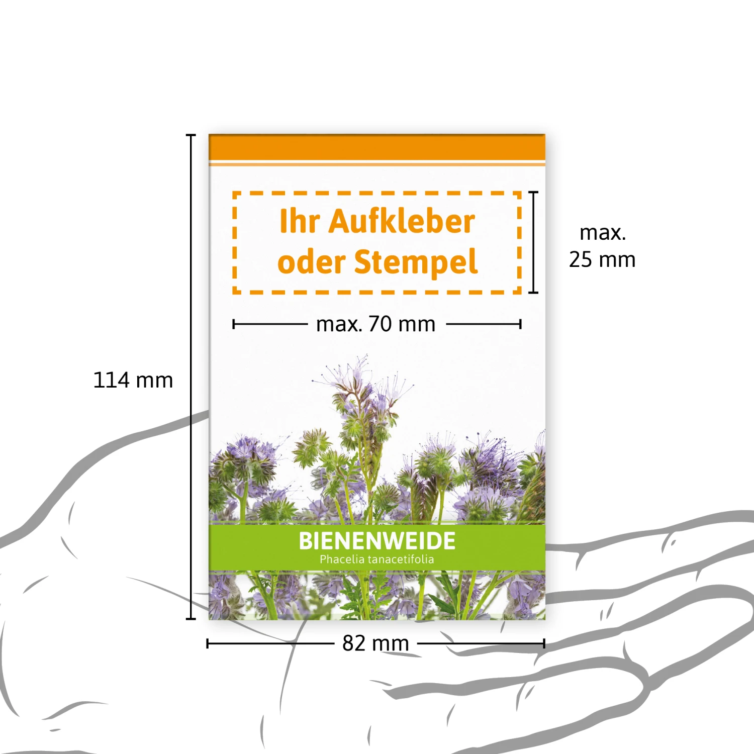 Bienenweide Für Werbezwecke (100 Tütchen) | Phaceliasamen Von FLORTUS 4 Bienenweide Für Werbezwecke (100 Tütchen) | Phaceliasamen Von FLORTUS – Bild 2