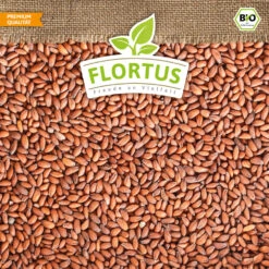 Bio-Kresse (900 G) | Bio-Kressesamen Von Flortus 13 Bio-Kresse (900 G) | Bio-Kressesamen Von Flortus -Compo Verkäufe 543638 Bio Kresse 900 g 4