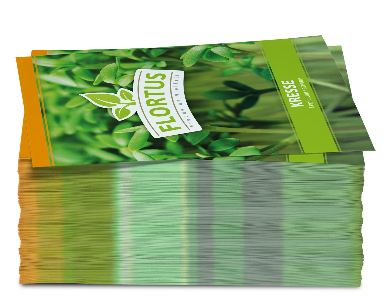 Kresse (100 Tütchen) | Kressesamen Von FLORTUS 6 Kresse (100 Tütchen) | Kressesamen Von FLORTUS – Bild 4