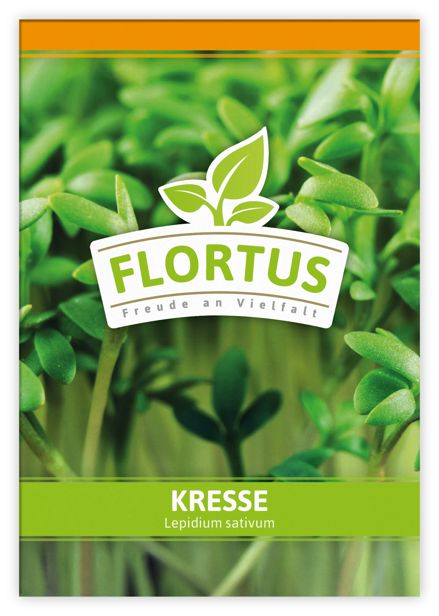 Kresse (100 Tütchen) | Kressesamen Von FLORTUS 5 Kresse (100 Tütchen) | Kressesamen Von FLORTUS – Bild 3