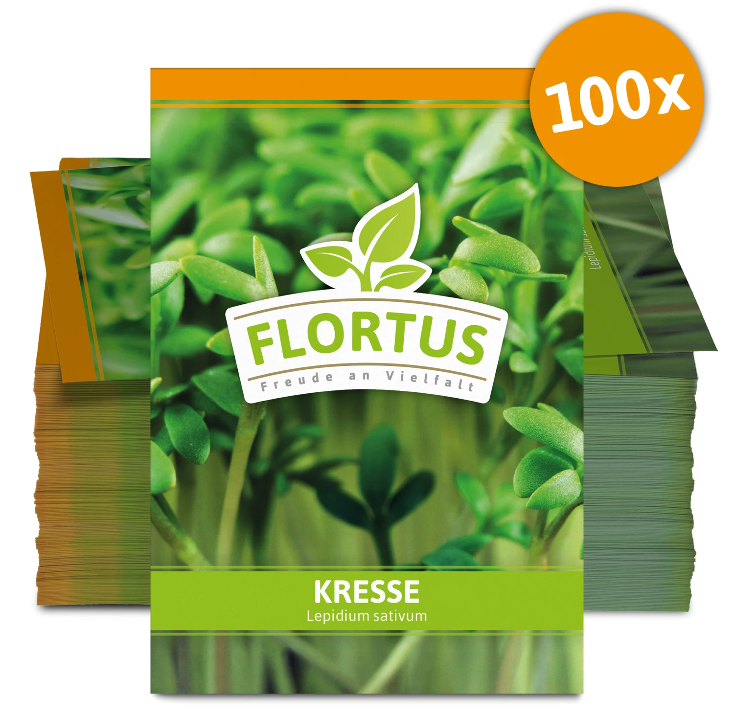 Kresse (100 Tütchen) | Kressesamen Von FLORTUS 4 Kresse (100 Tütchen) | Kressesamen Von FLORTUS – Bild 2