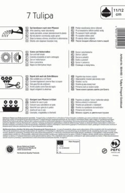 Compo Verkäufe -Compo Verkäufe 543942 Gefranste Tulpe Golddust 7 Stueck 504493 1