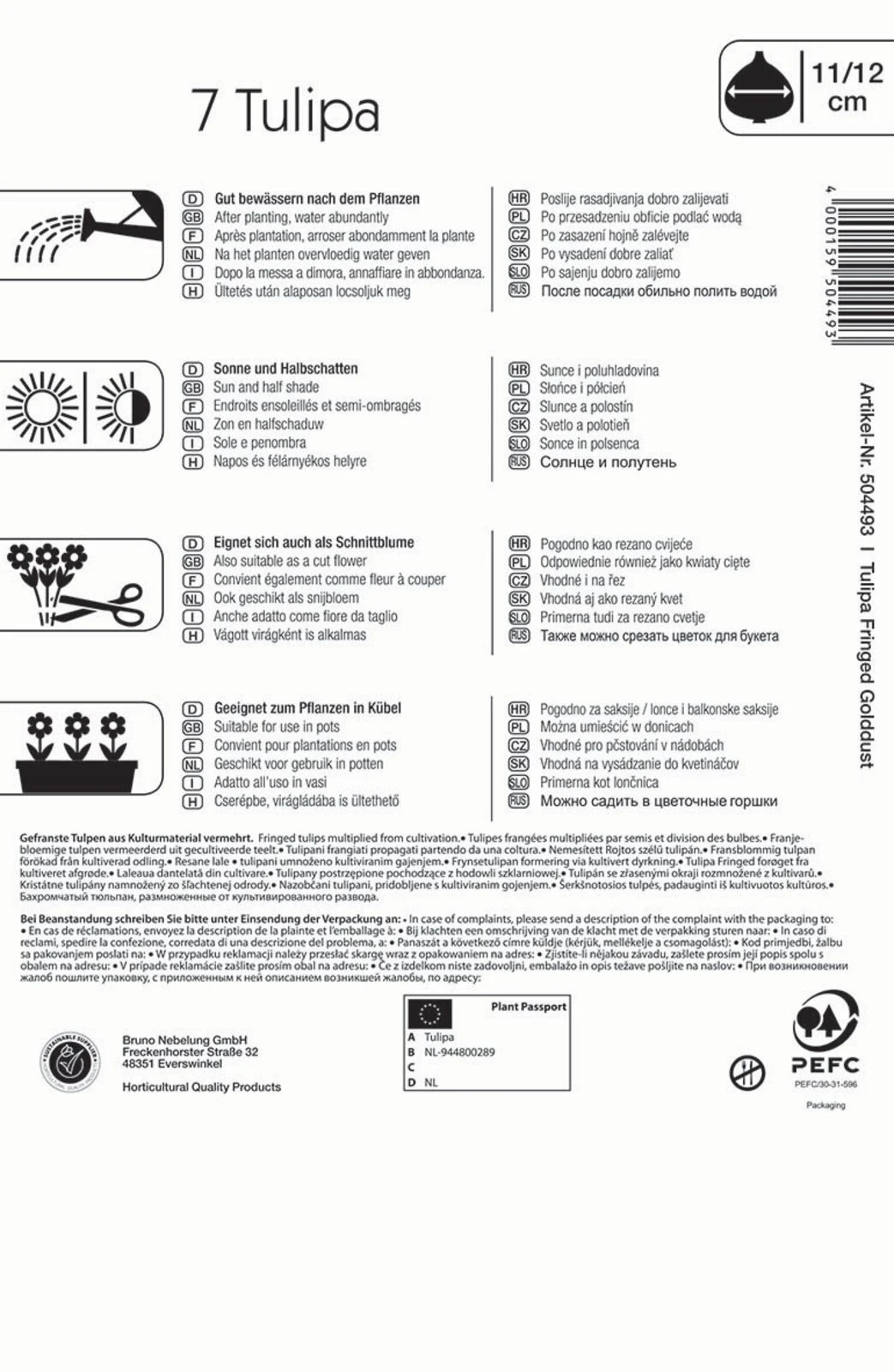 Gefranste Tulpe Golddust (7 Stück) | Tulpenzwiebeln Von Kiepenkerl 4 Gefranste Tulpe Golddust (7 Stück) | Tulpenzwiebeln Von Kiepenkerl – Bild 2